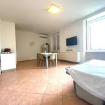 Rent 2 bedroom apartment of 50 m² in Turin