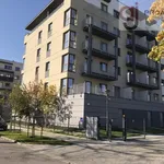 Rent 1 bedroom apartment of 24 m² in Łódź