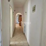 Rent 3 bedroom apartment of 80 m² in Viareggio