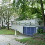 Rent 3 bedroom apartment of 77 m² in Bochum