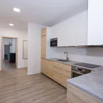 Pronajměte si 1 ložnic/e byt o rozloze 104 m² v Prague