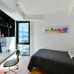 Rent 1 bedroom student apartment in Toowong