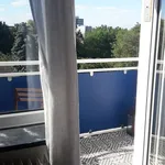 Rent 1 bedroom apartment of 32 m² in Frankfurt