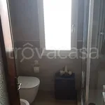 Rent 5 bedroom apartment of 150 m² in Rovigo