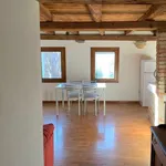 Rent 2 bedroom apartment of 50 m² in Conegliano