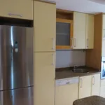 Rent 3 bedroom house in Madrid