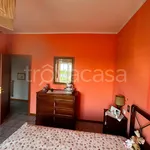 Rent 2 bedroom apartment of 80 m² in Novara