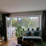 Rent 1 bedroom apartment of 60 m² in Frankfurt