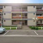 Rent 1 bedroom apartment in AARTSELAAR