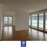 Rent 4 bedroom apartment of 167 m² in Dresden