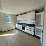 Rent 3 bedroom apartment in Humlikon