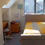 Rent a room of 130 m² in dublin