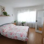 Pronajměte si 3 ložnic/e byt o rozloze 66 m² v Děčín