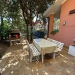 Rent 2 bedroom apartment of 50 m² in Orbetello