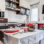 Rent 1 bedroom apartment of 35 m² in Milano