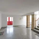 Rent 2 bedroom apartment of 85 m² in Prague