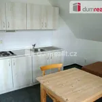 Rent 1 bedroom apartment of 28 m² in Liberec