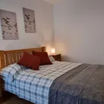 Rent 1 bedroom apartment in dublin