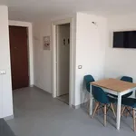 Rent 1 bedroom apartment of 46 m² in rome