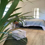 Miete 2 Schlafzimmer wohnung von 45 m² in Langenbach