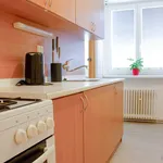 Rent 1 bedroom apartment in Blansko