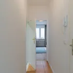 Miete 1 Schlafzimmer wohnung von 23 m² in Berlin