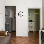 Rent 1 bedroom apartment of 538 m² in Bologna