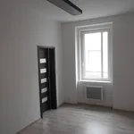 Rent 1 bedroom apartment in Louny