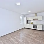 Rent 2 bedroom apartment of 46 m² in Praha