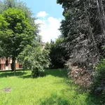 Rent 3 bedroom apartment of 94 m² in Novara