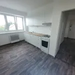 Rent 2 bedroom apartment in Teplice