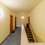 Rent 1 bedroom apartment in Prague