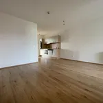 Rent 2 bedroom apartment of 40 m² in Graz