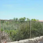 Rent 4 bedroom house of 196 m² in temecula