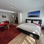 Rent 3 bedroom apartment of 60 m² in Friedrichshafen