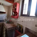 Rent 4 bedroom apartment of 95 m² in L'Aquila