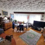 Rent 5 bedroom apartment of 160 m² in Szolnok