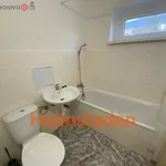 Rent 3 bedroom apartment of 48 m² in Havířov