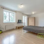 Rent 1 bedroom apartment in Praha - východ