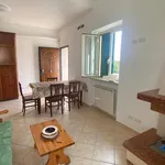 Rent 3 bedroom apartment of 66 m² in Roma