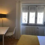 Rent a room of 80 m² in lisbon