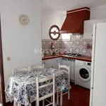 Rent 2 bedroom apartment of 74 m² in São Miguel