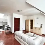 Rent 2 bedroom apartment of 50 m² in Budapest