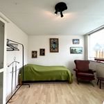 Rent a room of 21 m² in groningen