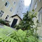 Rent 1 bedroom apartment of 36 m² in Vienna