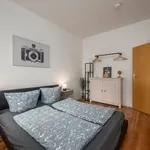 Rent 2 bedroom apartment of 53 m² in Leipzig