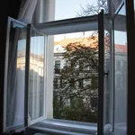 Rent 1 bedroom apartment in Prague