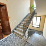 Rent 3 bedroom apartment of 67 m² in Torino