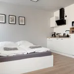 Rent 1 bedroom apartment of 22 m² in Bonn