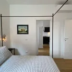 Rent 1 bedroom apartment in milan